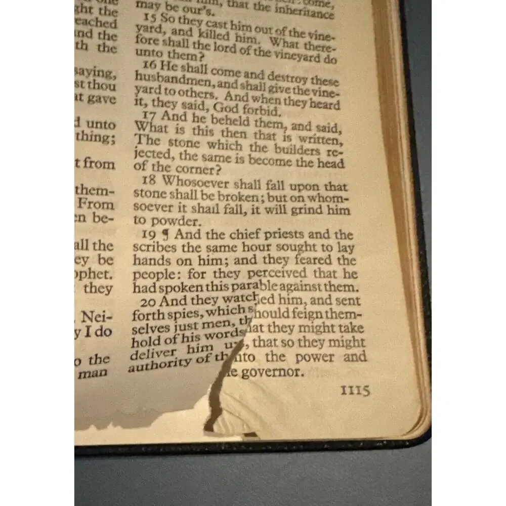 HOLY BIBLE ILLUSTRATED Oxford Self-Pronouncing Edition VTG King‎ James READ